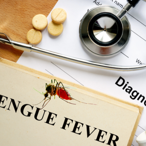 Dengue Fever Cases Treatment at Vajra Hospital Kusumanchi