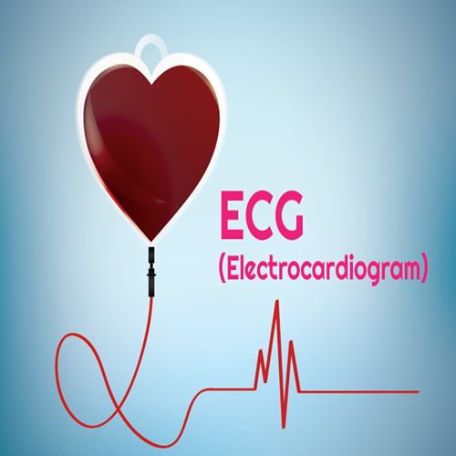 ECG at Vajra Hospital Kusumanchi